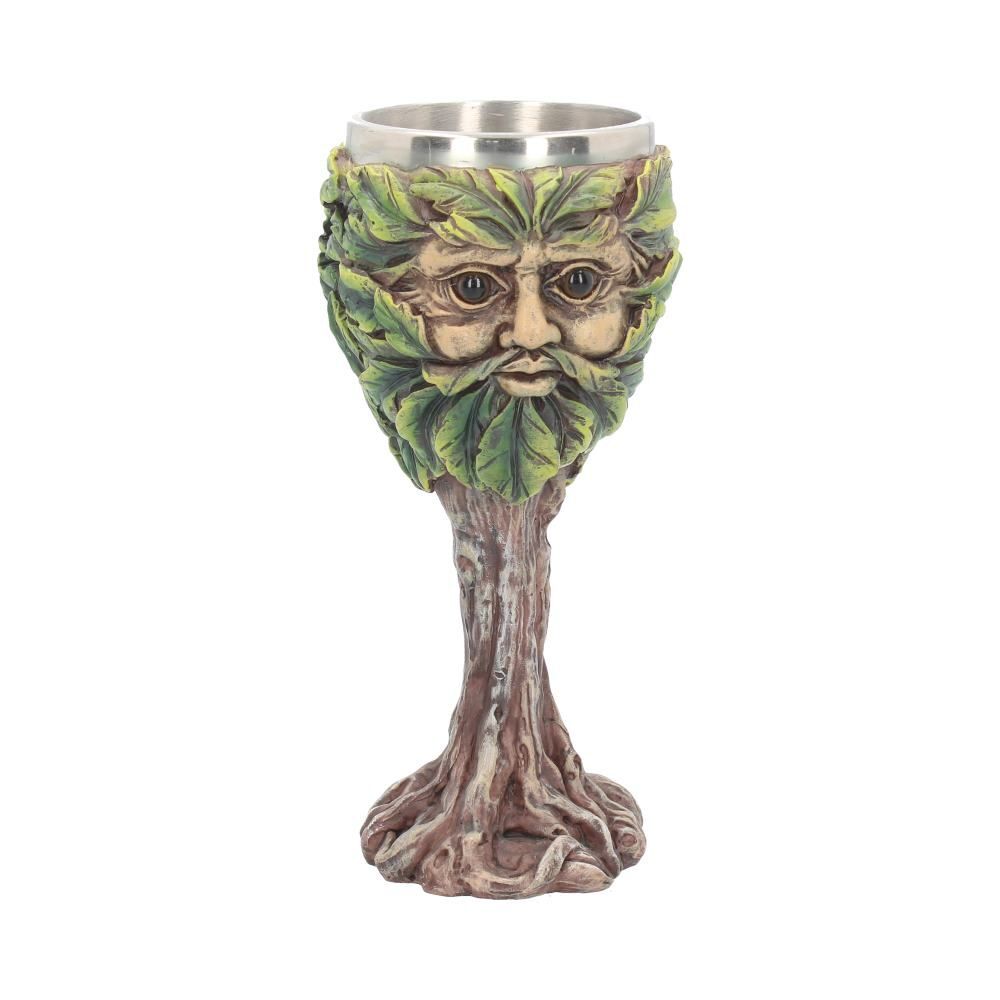 Кубок Око леса